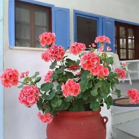 House Sofia Milies * סטאברוס