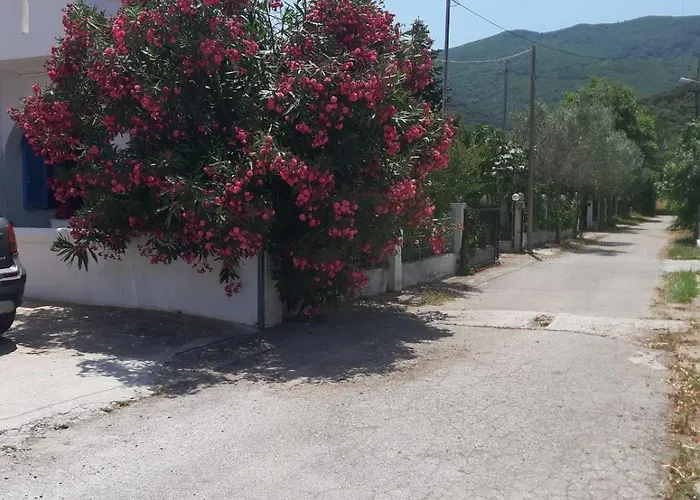 House Sofia Milies