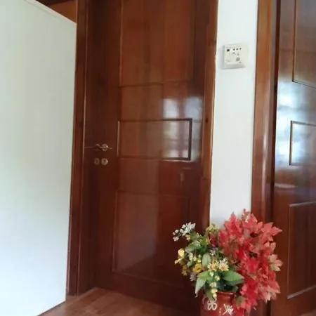 House Sofia Milies *