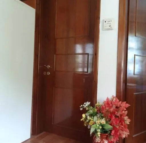 House Sofia Milies *