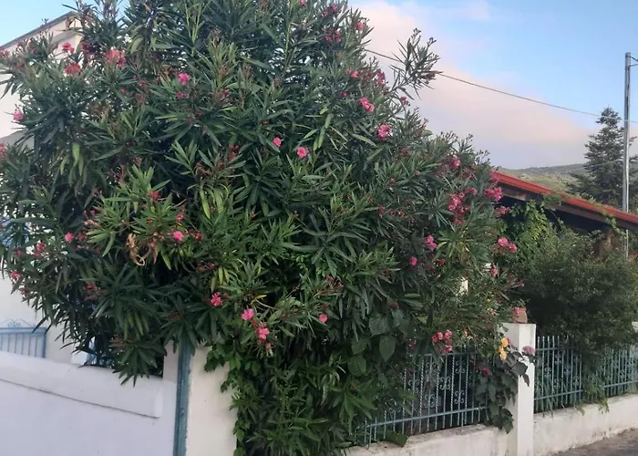 Villa House Sofia Milies Stavros (Thessaloniki)